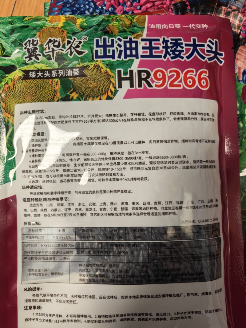 矮油葵种子春夏播瓜子葵花种子产量高出油率高可做芽苗菜种子