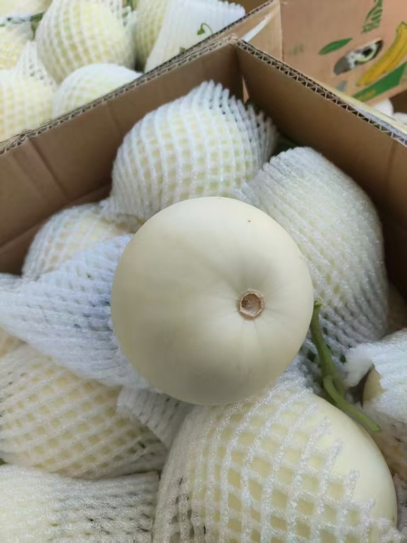 蜜糖罐小白瓜，口感清甜，皮薄肉厚，量大从优