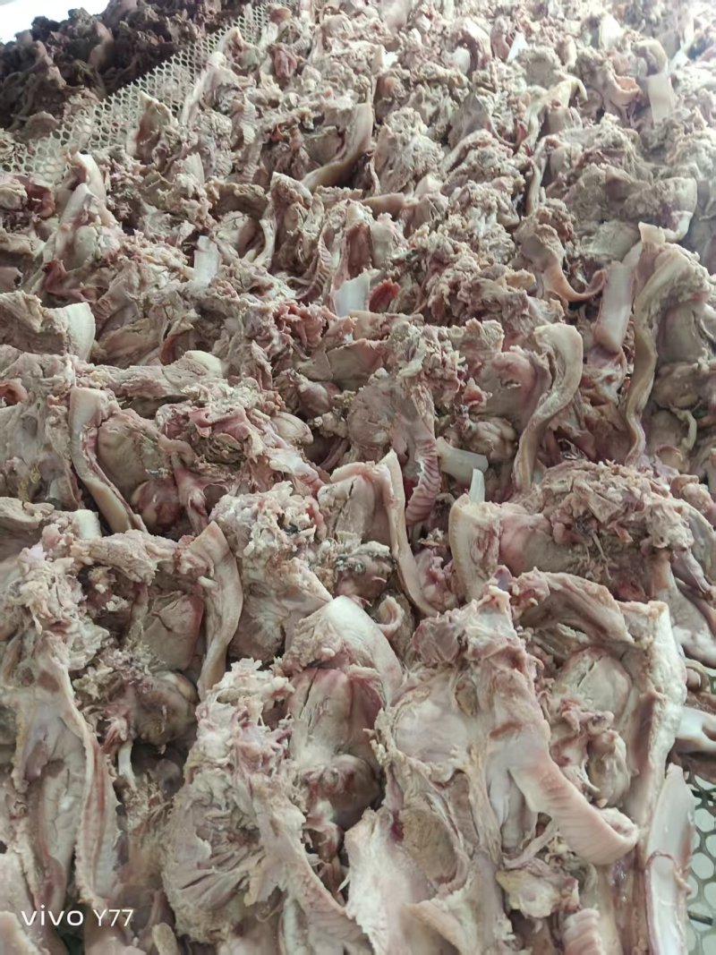 半成品猪头肉