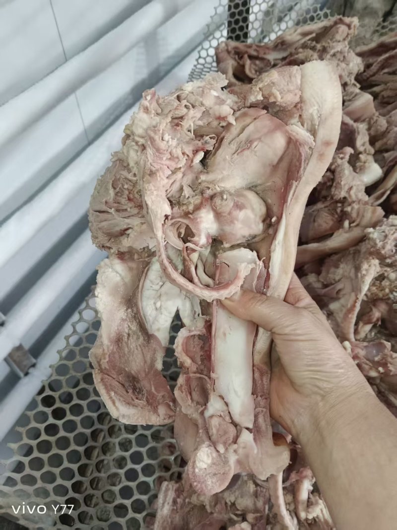 半成品猪头肉