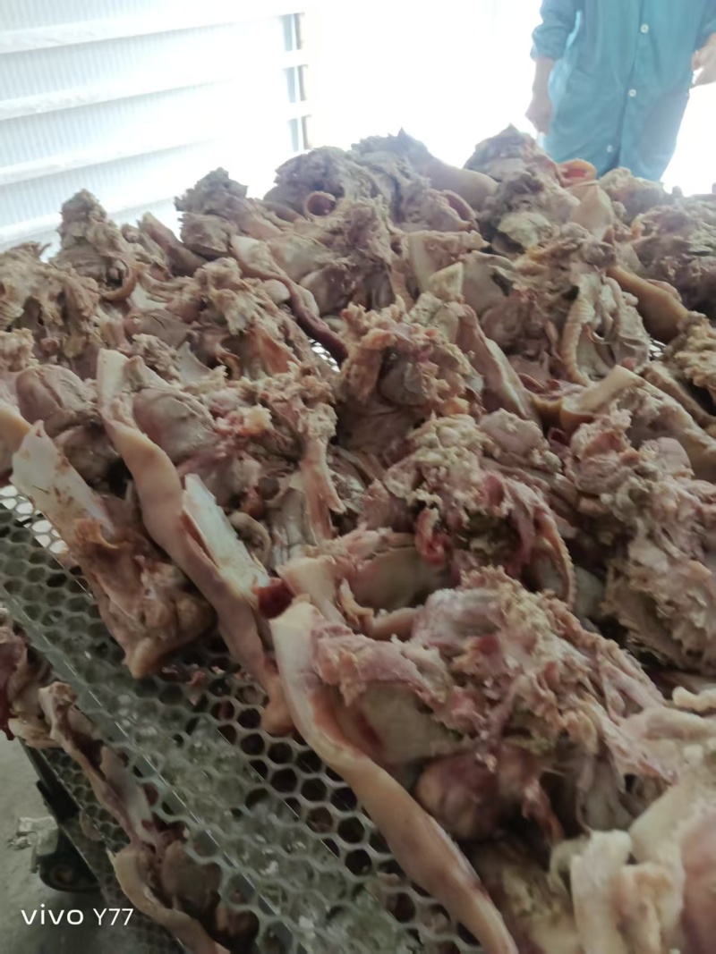 半成品猪头肉