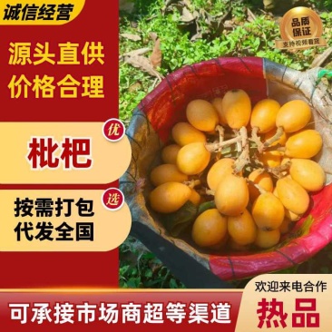 包邮！早钟枇杷便宜卖了，自家果园自产自销、现摘现发