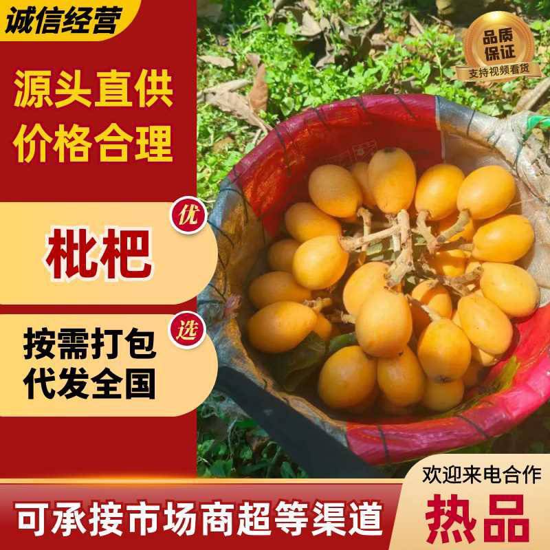 包邮！早钟枇杷便宜卖了，自家果园自产自销、现摘现发