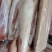 牛舌，新到安格斯牛舌，烧烤，清蒸，酱卤都有合适的