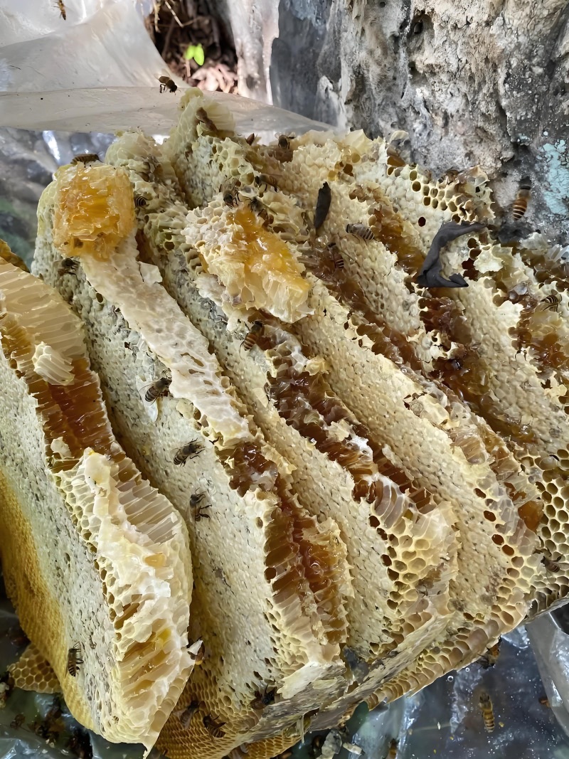 云南农村蜂蜜