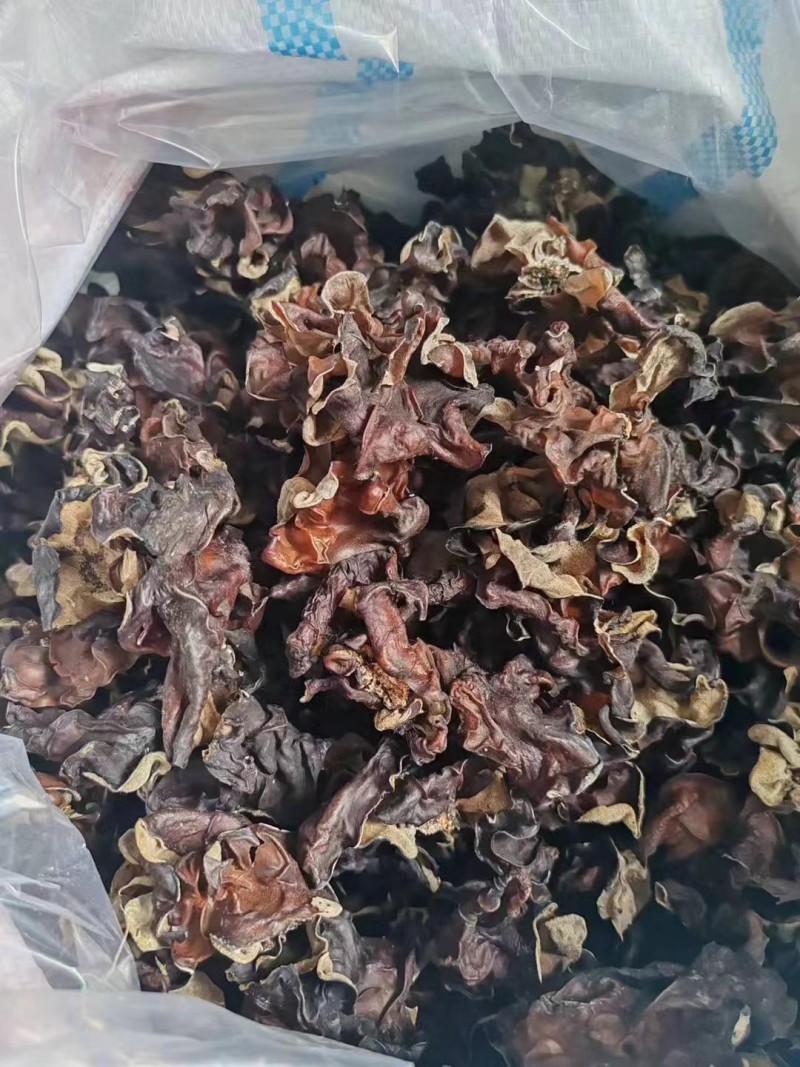 【热卖】各种规格毛木耳大量供应电商市场餐饮摆摊欢迎联系