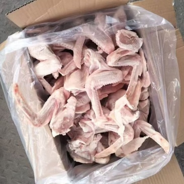 鸭全翅低价出