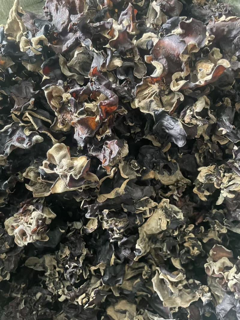 【热卖】各种规格毛木耳大量供应电商市场餐饮摆摊欢迎联系