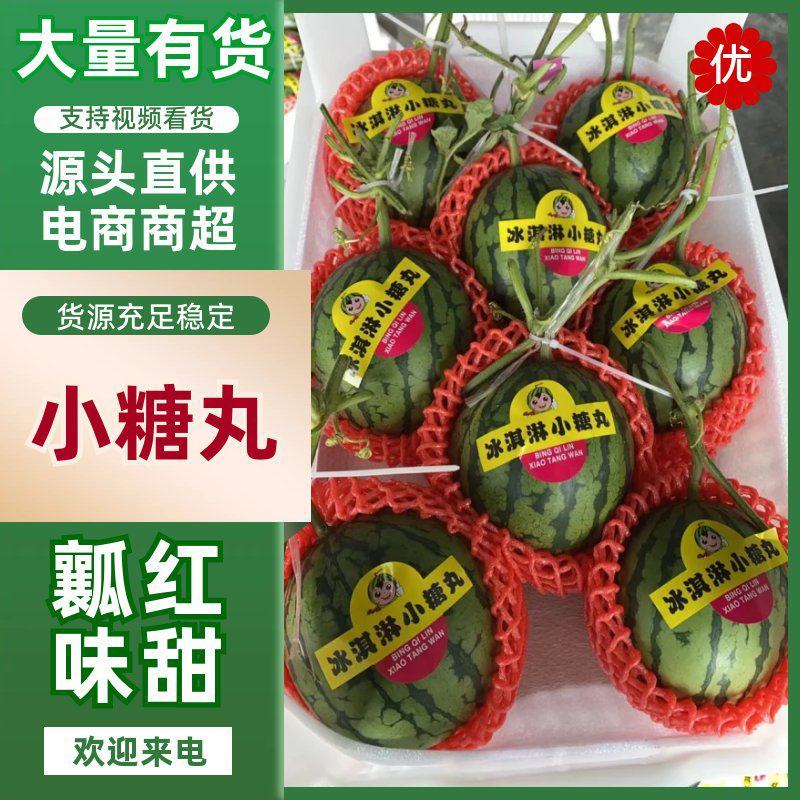 26年新货全美2k西瓜小糖丸西瓜对接批发商商超线下档口