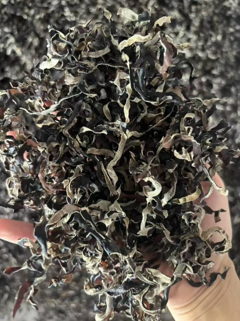【热卖】2026二茬木耳丝，电商木耳丝毛木耳丝批发