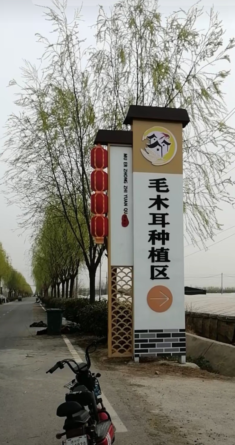 【热卖】2026二茬木耳丝，电商木耳丝毛木耳丝批发
