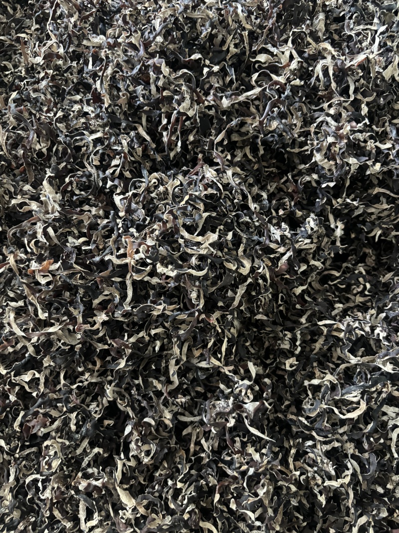 【热卖】2026二茬木耳丝，电商木耳丝毛木耳丝批发