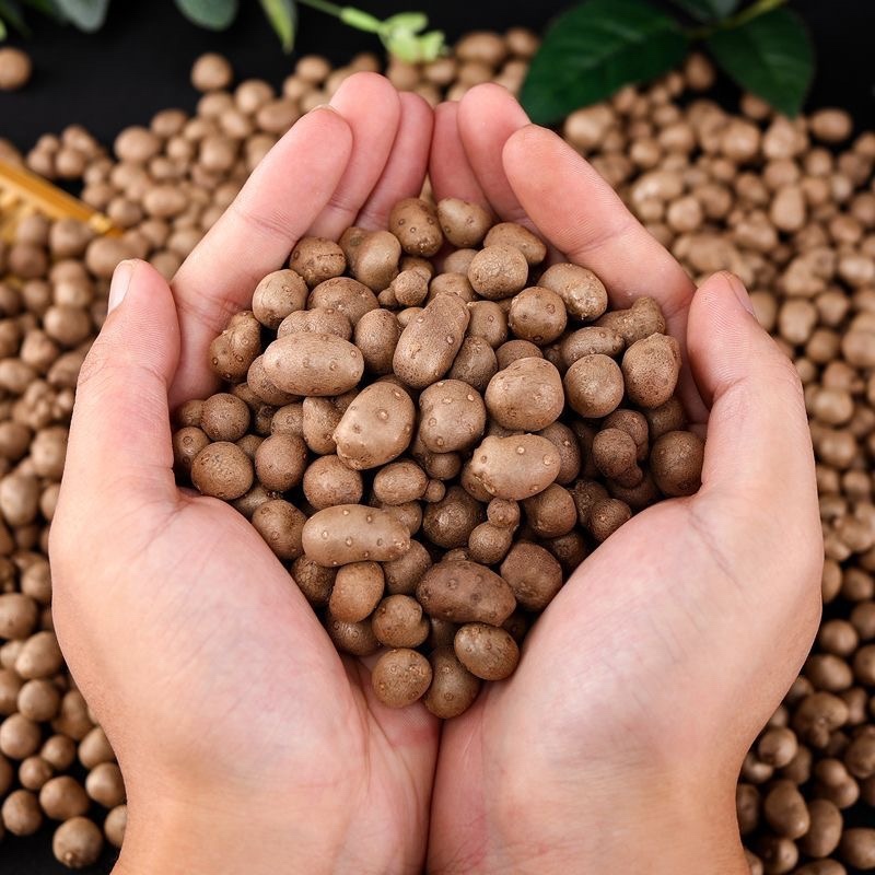山药豆白山药豆山药蛋量大价优欢迎咨询