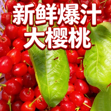 西昌市樟木樱桃本地农产品高原天然成熟