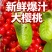 西昌市樟木樱桃本地农产品高原天然成熟
