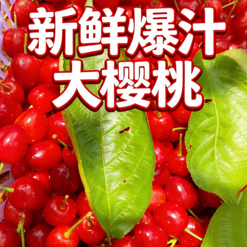 西昌市樟木樱桃本地农产品高原天然成熟