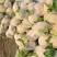 本地精品花菜大量上市紧实白嫩无黑心基地直供小米花