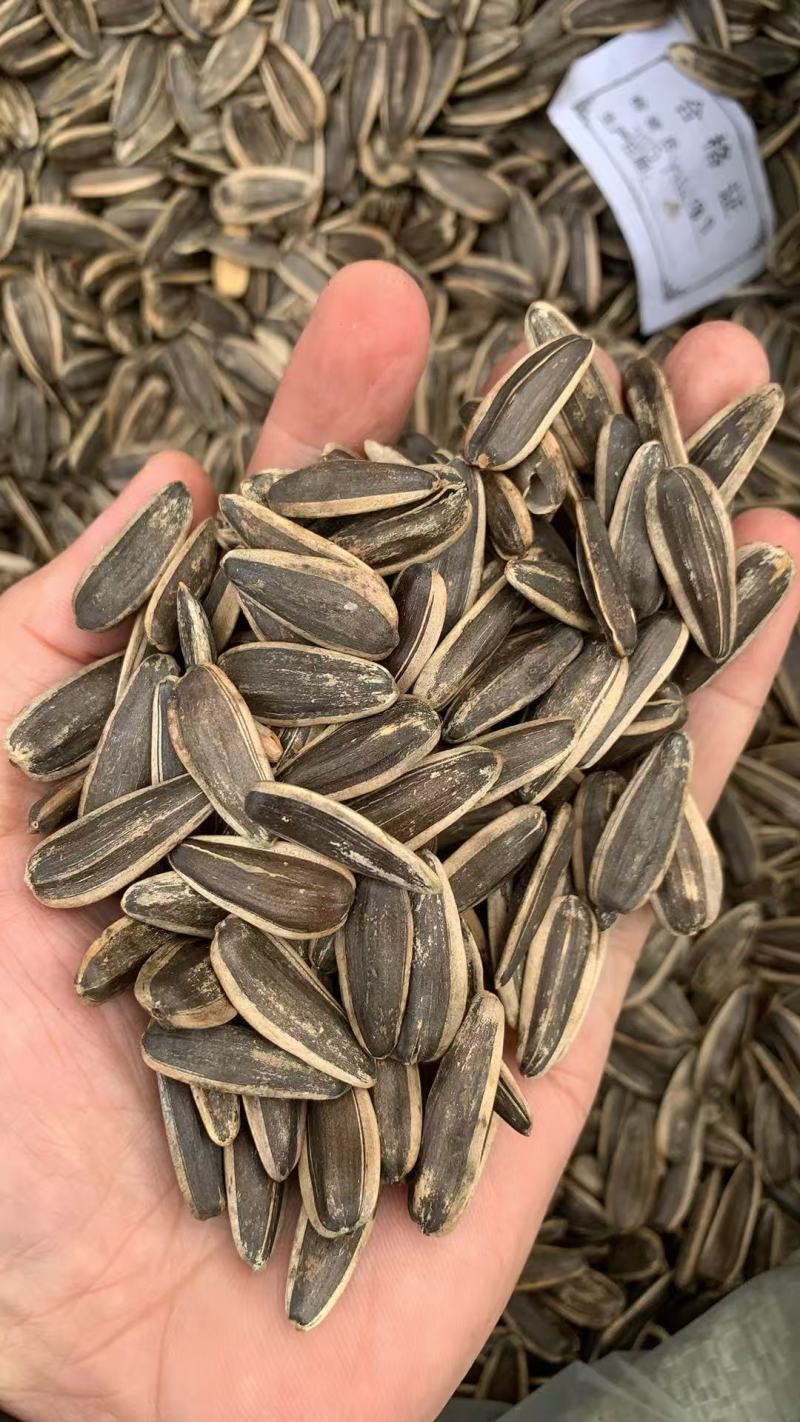 原味炒瓜子新货葵花籽炒货干炒熟瓜子大颗粒追剧瓜子年货零食