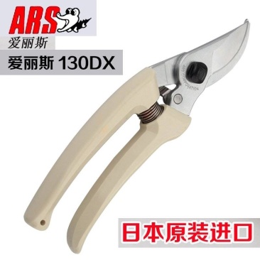 日本原装正品爱丽斯