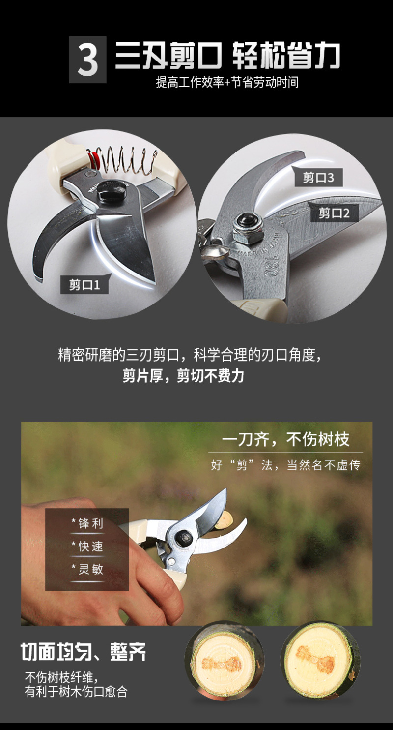 日本原装正品爱丽斯