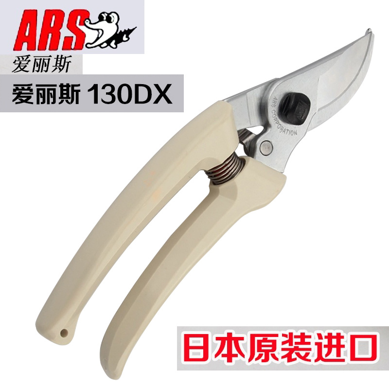 日本原装正品爱丽斯