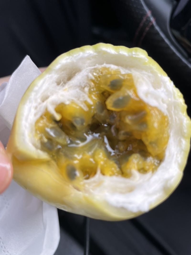 钦蜜9号黄金百香果（海口基地）