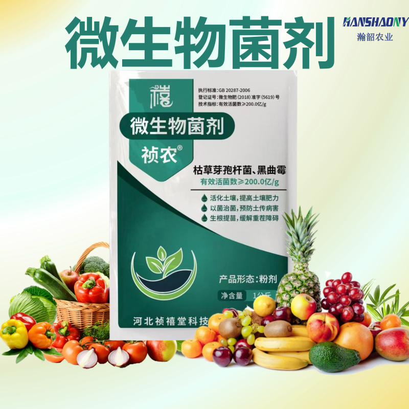 高含量微生物菌剂复合菌种改良土壤壮苗农用肥料