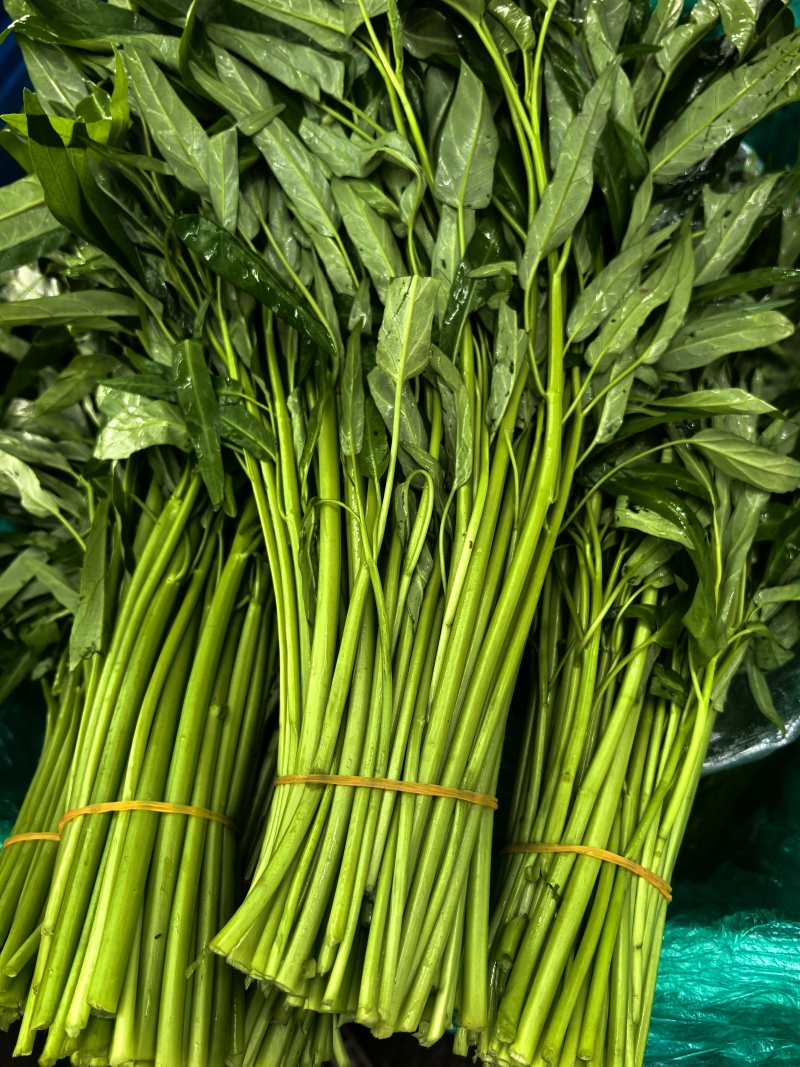 空心菜大量有货，江苏产地直发，货源充足，全年供货
