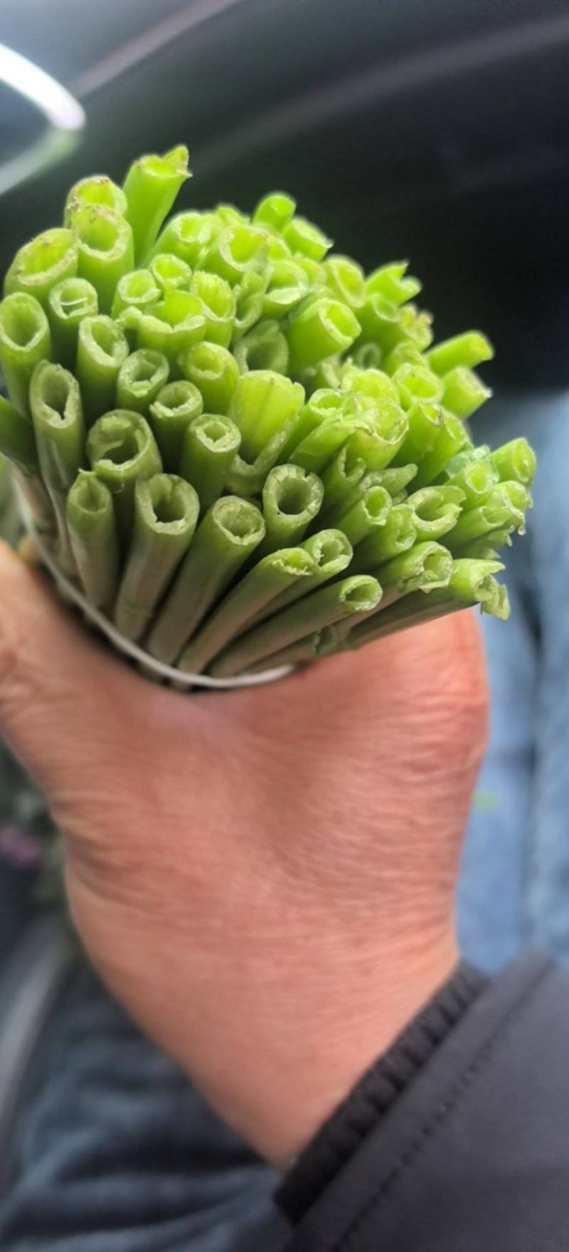 空心菜大量有货，江苏产地直发，货源充足，全年供货