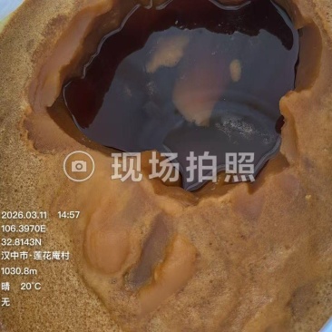 出售农家土蜂蜜
