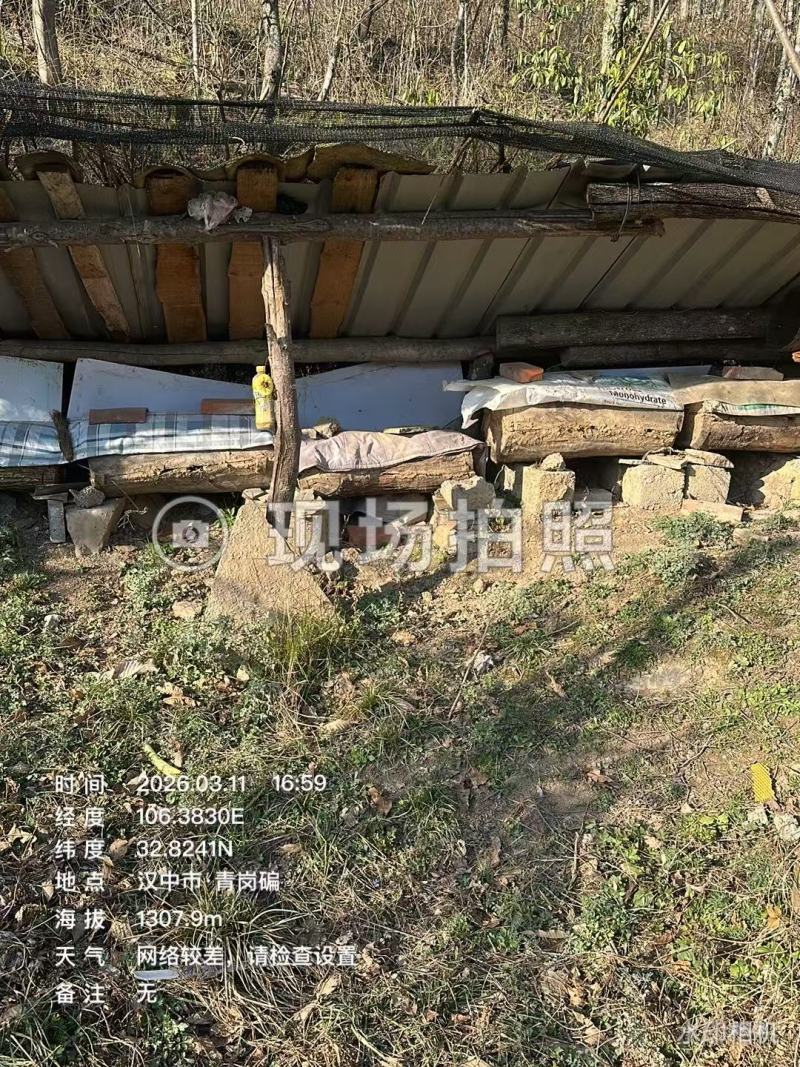 出售农家土蜂蜜