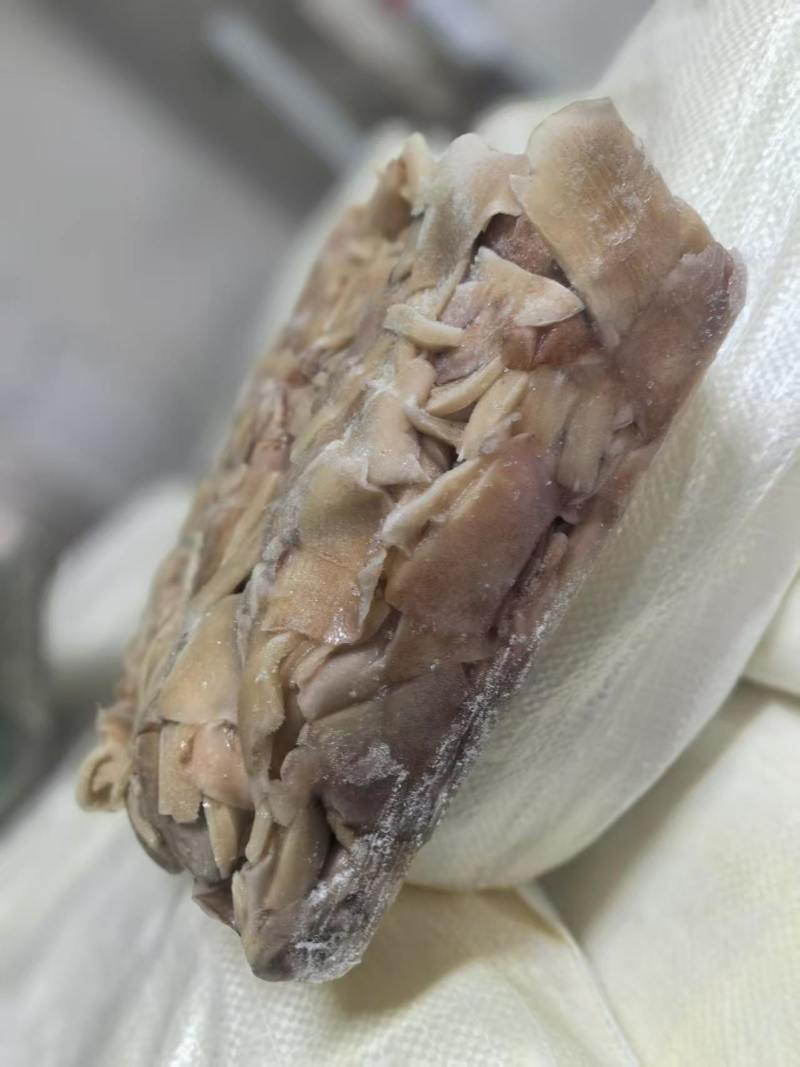 船冻真鱿阿尤耳块条，不泡药水的，原汁原味！口感脆！食堂饭