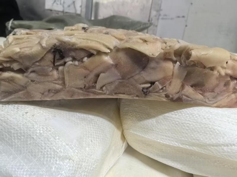 船冻真鱿阿尤耳块条，不泡药水的，原汁原味！口感脆！食堂饭