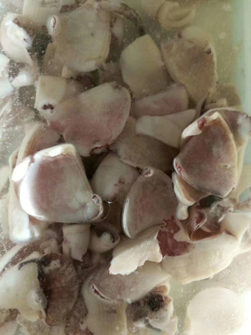 船冻真鱿阿尤耳块条，不泡药水的，原汁原味！口感脆！食堂饭