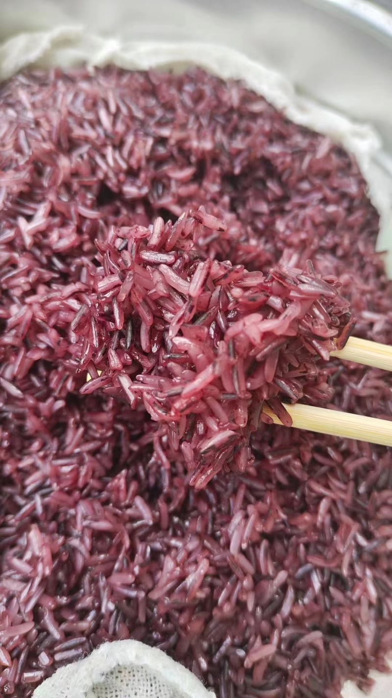 墨江紫糯米，富含天然花青素，适合各类人群食用
