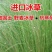 冰草籽种子野麦子扁穗冰草羽状小麦草籽种子牧草种子