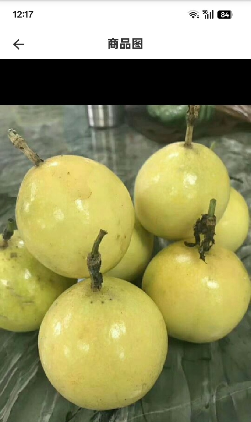 黄金百香果正品嫁接苗