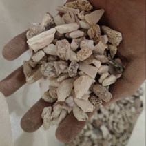 龙骨中药材大小规格都有厂家直供量大从优欢迎咨询