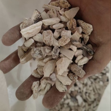 龙骨中药材大小规格都有厂家直供量大从优欢迎咨询