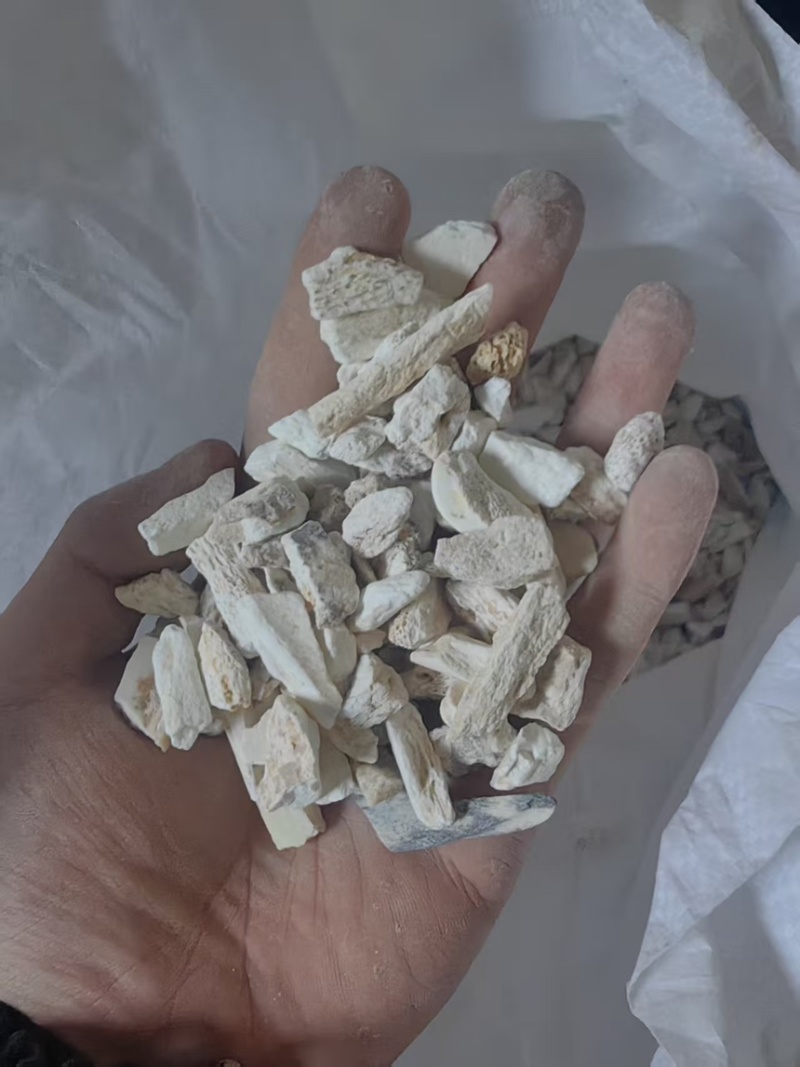 龙骨中药材大小规格都有厂家直供量大从优欢迎咨询