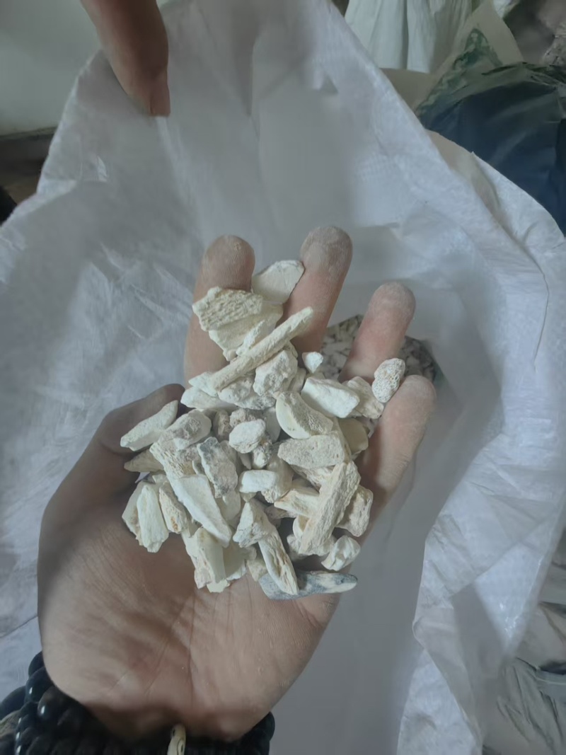 龙骨中药材大小规格都有厂家直供量大从优欢迎咨询