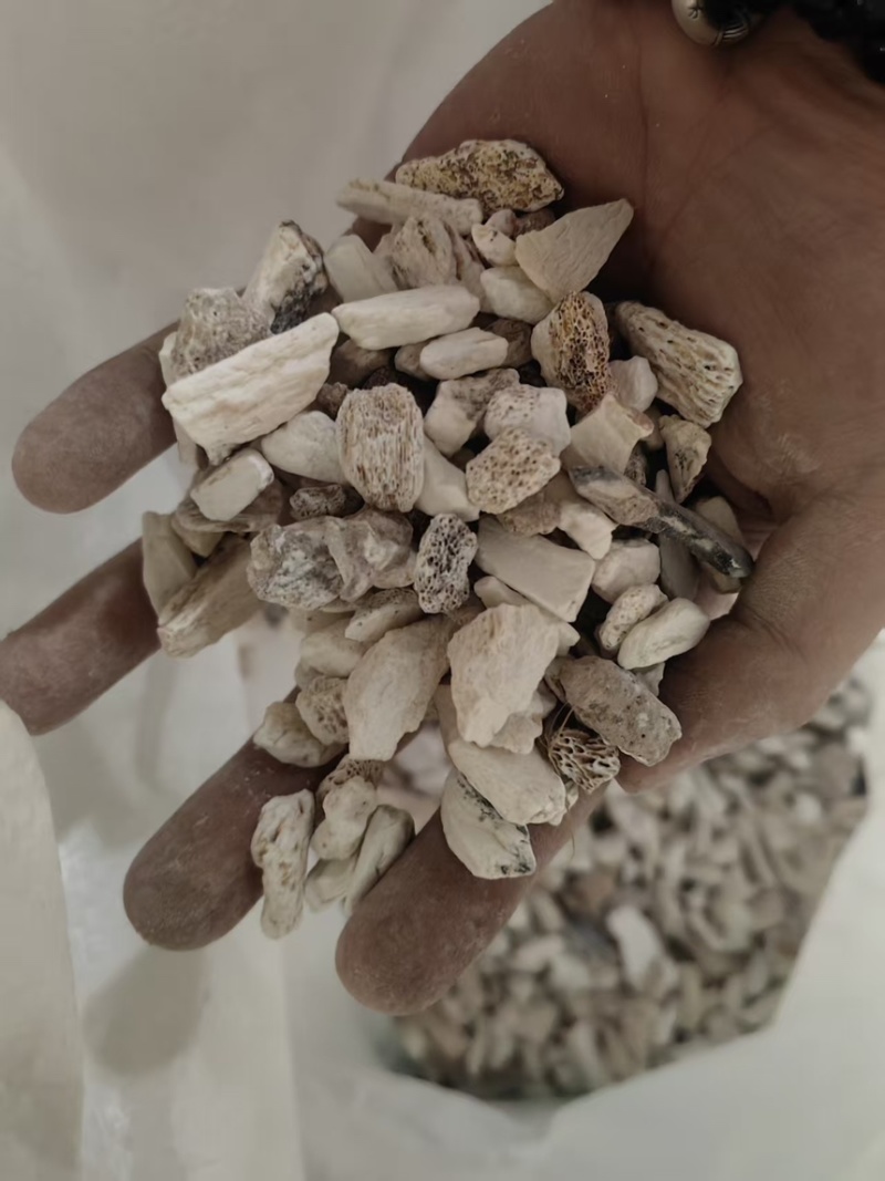 龙骨中药材大小规格都有厂家直供量大从优欢迎咨询