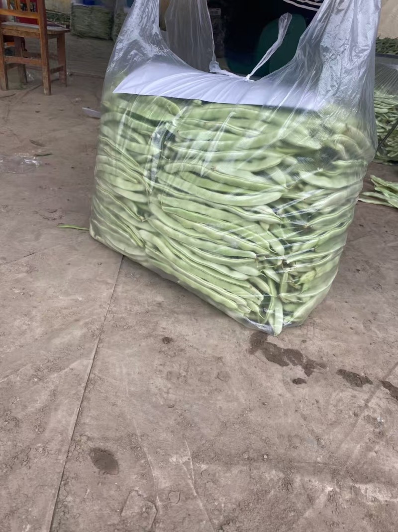 白不老