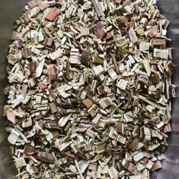 赶黄草