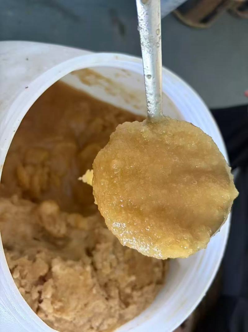 高山精品土蜂蜜一手货源全国发货量大优惠需要联系
