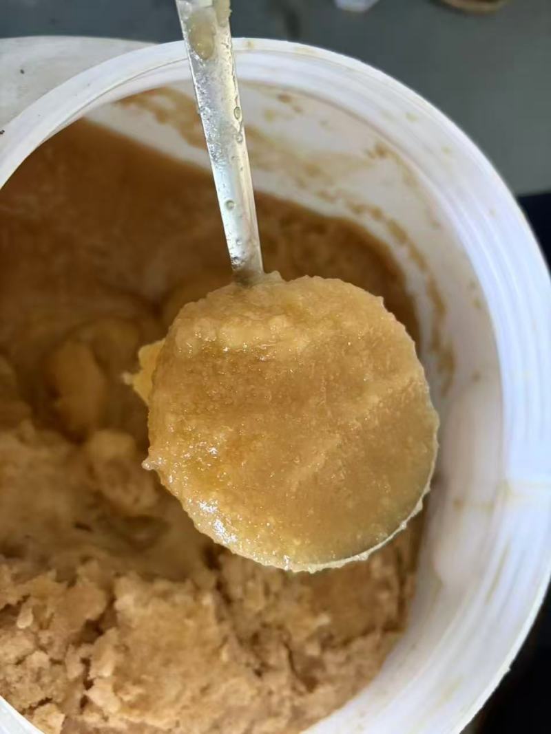 【蜂巢蜜】高山蜂巢一手货源全国发货品质保证需要联系