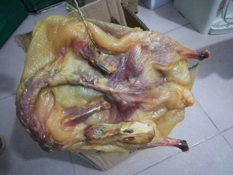 腊鸭风干鸭阳江腊鸭