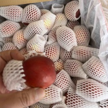 油桃