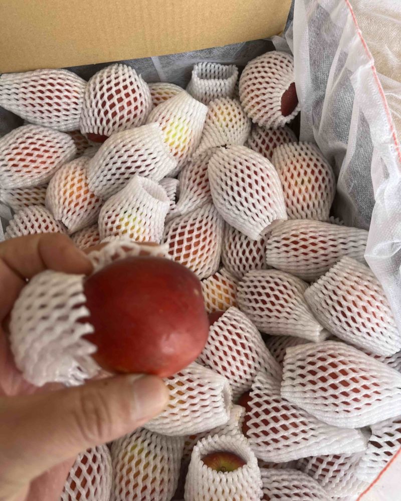 油桃