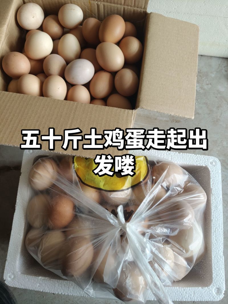 自家养的土鸡蛋